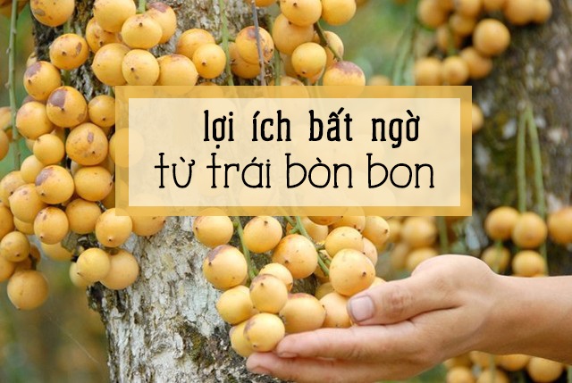 lợi ích khi ăn trái bòn bon